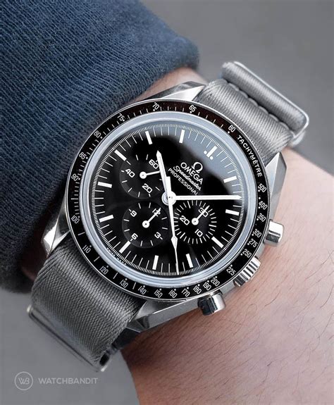 Omega Speedmaster professional guide